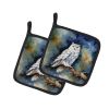 Snowy Owl Pair of Pot Holders Kitchen Heat Resistant Pot Holders Sets Oven Hot Pads for Cooking Baking BBQ, 7 1/2 x 7 1/2