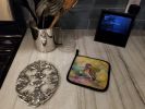 Burrowing Owl Pair of Pot Holders Kitchen Heat Resistant Pot Holders Sets Oven Hot Pads for Cooking Baking BBQ, 7 1/2 x 7 1/2