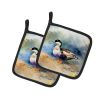 Common Eider Duck Pair of Pot Holders Kitchen Heat Resistant Pot Holders Sets Oven Hot Pads for Cooking Baking BBQ, 7 1/2 x 7 1/2