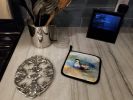 Common Eider Duck Pair of Pot Holders Kitchen Heat Resistant Pot Holders Sets Oven Hot Pads for Cooking Baking BBQ, 7 1/2 x 7 1/2